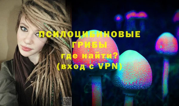 2c-b Беломорск